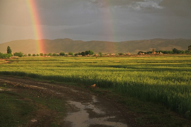 duha nad polem